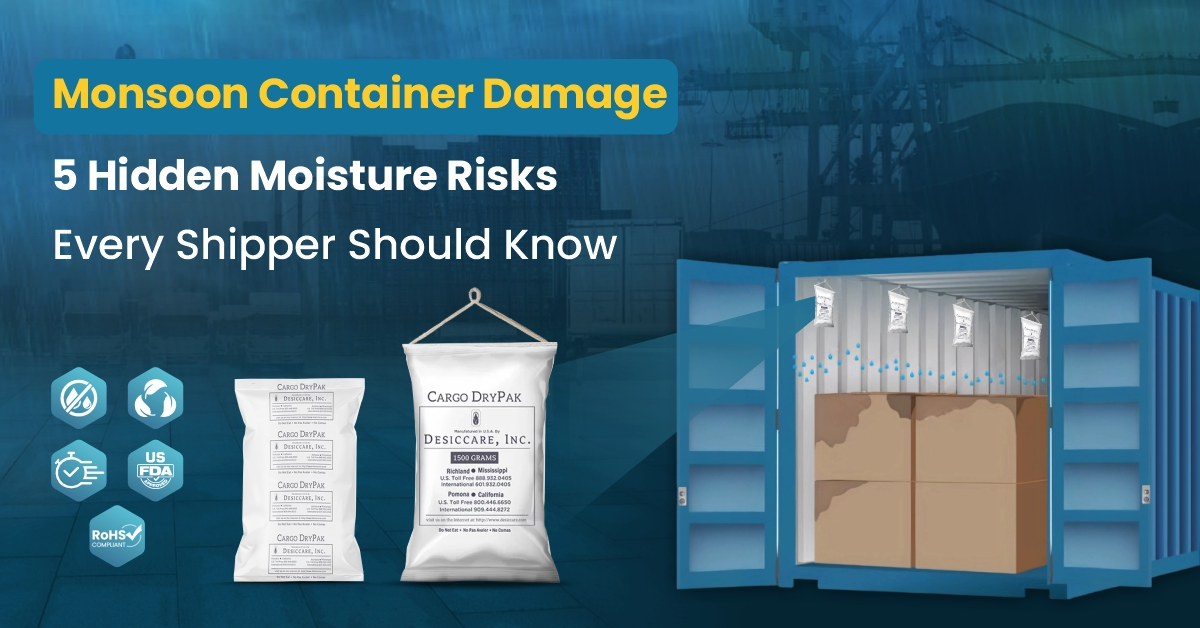 Monsoon Container Damage